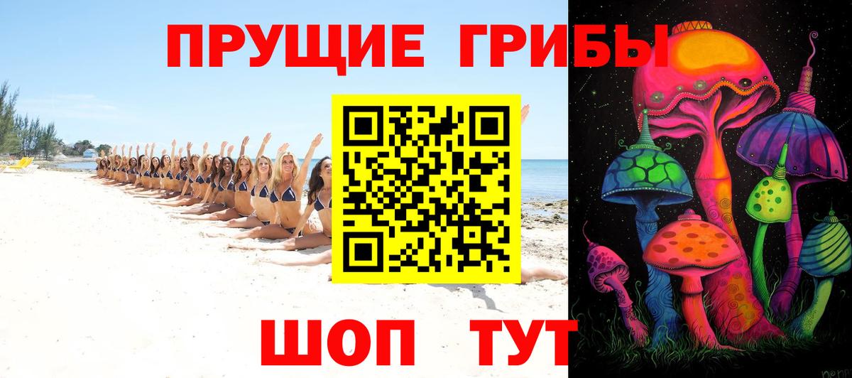 Щёлково  Псилоцибиновые грибы Psilocybe  Вход с VPN 