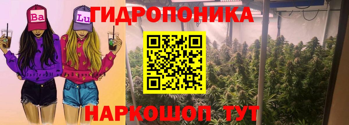 Бошки марихуана SATIVA & INDICA  Канабис OG Kush  Щёлково  Шишки марихуана VHQ  Вход с VPN  Бошки Шишки тримм 